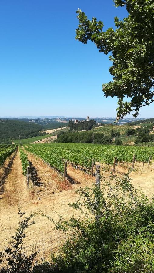 Appartamento Chianti Craft House Badia a Passignano Badia A Passigano Esterno foto